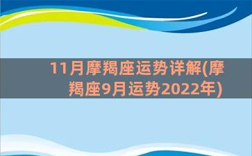 11月摩羯座运势详解(摩羯座9月运势2022年)