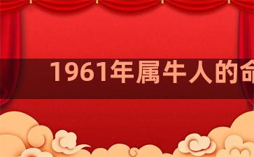 1961年属牛人的命运