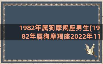 1982年属狗摩羯座男生(1982年属狗摩羯座2022年11月找工作)