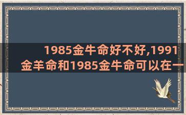 1985金牛命好不好,1991金羊命和1985金牛命可以在一起吗