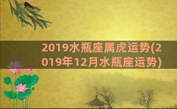 2019水瓶座属虎运势(2019年12月水瓶座运势)