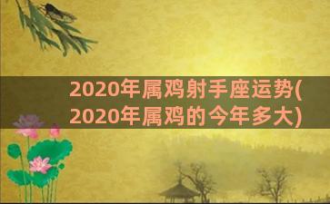 2020年属鸡射手座运势(2020年属鸡的今年多大)