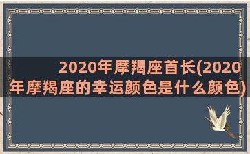 2020年摩羯座首长(2020年摩羯座的幸运颜色是什么颜色)