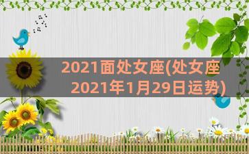 2021面处女座(处女座2021年1月29日运势)