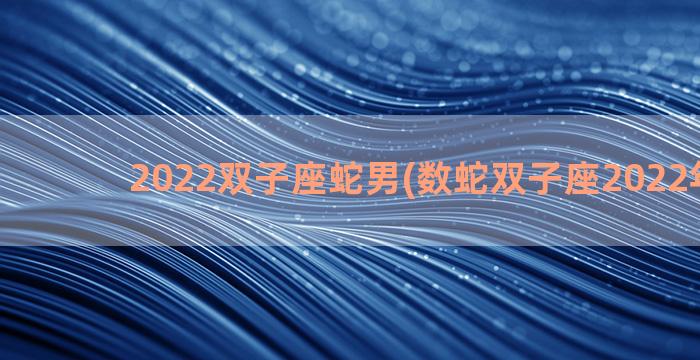 2022双子座蛇男(数蛇双子座2022年运势)