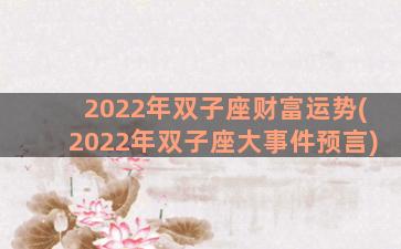 2022年双子座财富运势(2022年双子座大事件预言)