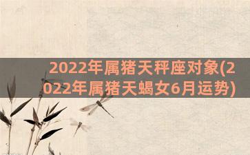 2022年属猪天秤座对象(2022年属猪天蝎女6月运势)