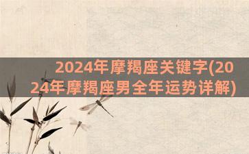 2024年摩羯座关键字(2024年摩羯座男全年运势详解)