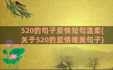 520的句子爱情短句温柔(关于520的爱情唯美句子)