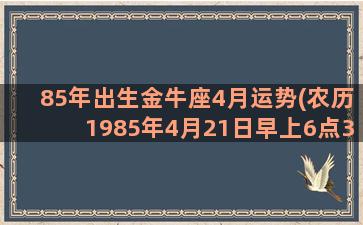 85年出生金牛座4月运势(农历1985年4月21日早上6点30分出生一生命运)