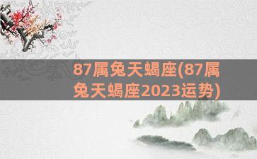 87属兔天蝎座(87属兔天蝎座2023运势)