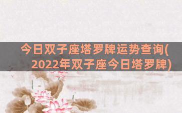 今日双子座塔罗牌运势查询(2022年双子座今日塔罗牌)