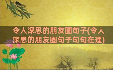 令人深思的朋友圈句子(令人深思的朋友圈句子句句在理)