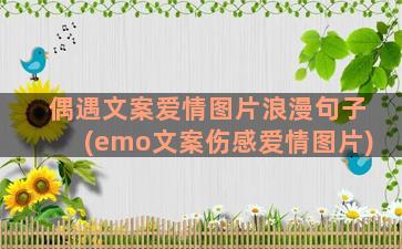 偶遇文案爱情图片浪漫句子(emo文案伤感爱情图片)