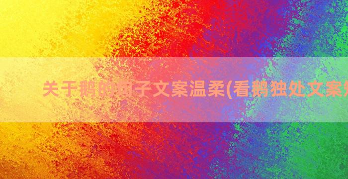 关于鹅的句子文案温柔(看鹅独处文案短句子)