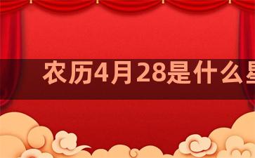 农历4月28是什么星座