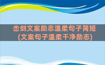 击剑文案励志温柔句子简短(文案句子温柔干净励志)