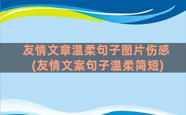 友情文章温柔句子图片伤感(友情文案句子温柔简短)