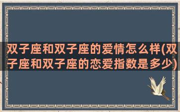 双子座和双子座的爱情怎么样(双子座和双子座的恋爱指数是多少)