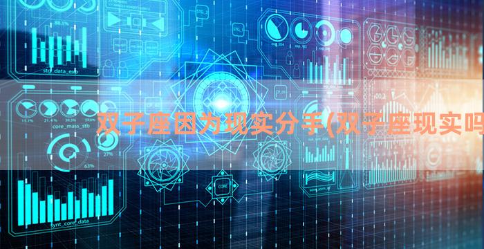 双子座因为现实分手(双子座现实吗)