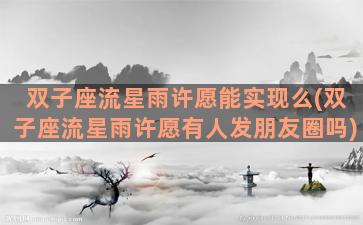 双子座流星雨许愿能实现么(双子座流星雨许愿有人发朋友圈吗)