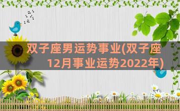 双子座男运势事业(双子座12月事业运势2022年)