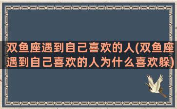 双鱼座遇到自己喜欢的人(双鱼座遇到自己喜欢的人为什么喜欢躲)