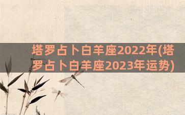 塔罗占卜白羊座2022年(塔罗占卜白羊座2023年运势)