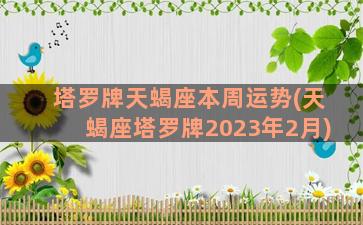 塔罗牌天蝎座本周运势(天蝎座塔罗牌2023年2月)