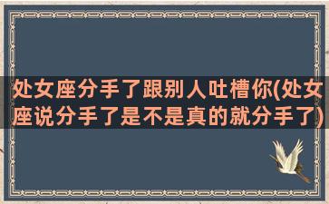 处女座分手了跟别人吐槽你(处女座说分手了是不是真的就分手了)