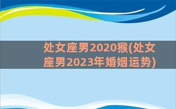 处女座男2020猴(处女座男2023年婚姻运势)