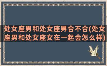 处女座男和处女座男合不合(处女座男和处女座女在一起会怎么样)