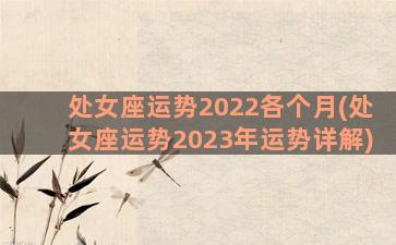 处女座运势2022各个月(处女座运势2023年运势详解)