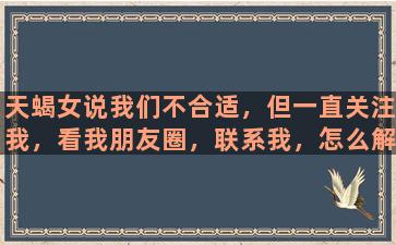 天蝎女说我们不合适，但一直关注我，看我朋友圈，联系我，怎么解