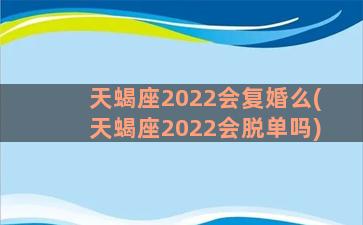 天蝎座2022会复婚么(天蝎座2022会脱单吗)