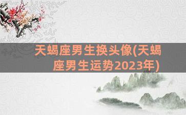 天蝎座男生换头像(天蝎座男生运势2023年)