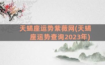 天蝎座运势紫薇网(天蝎座运势查询2023年)