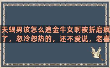 天蝎男该怎么追金牛女啊被折磨疯了，忽冷忽热的，还不爱说，老喜欢藏心里