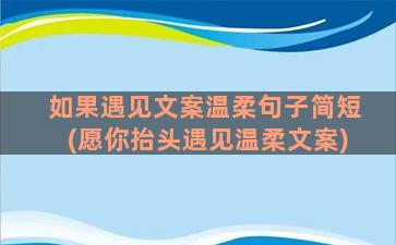 如果遇见文案温柔句子简短(愿你抬头遇见温柔文案)