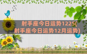 射手座今日运势1225(射手座今日运势12月运势)