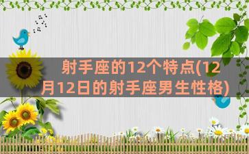 射手座的12个特点(12月12日的射手座男生性格)