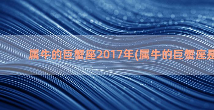 属牛的巨蟹座2017年(属牛的巨蟹座是什么命)