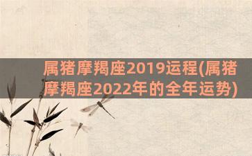 属猪摩羯座2019运程(属猪摩羯座2022年的全年运势)