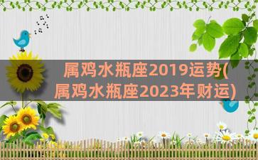 属鸡水瓶座2019运势(属鸡水瓶座2023年财运)