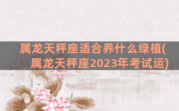 属龙天秤座适合养什么绿植(属龙天秤座2023年考试运)