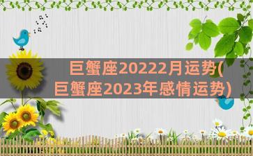 巨蟹座20222月运势(巨蟹座2023年感情运势)