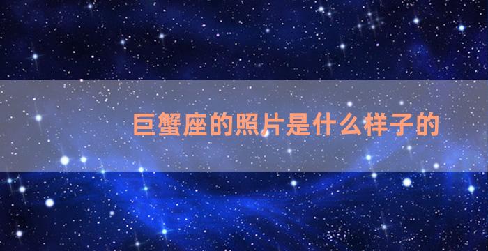 巨蟹座的照片是什么样子的