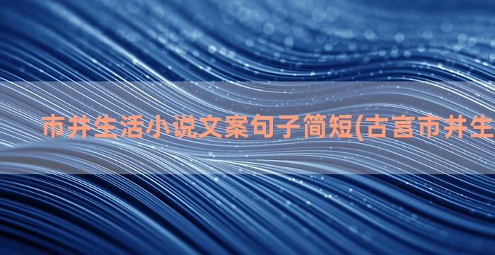 市井生活小说文案句子简短(古言市井生活的小说)