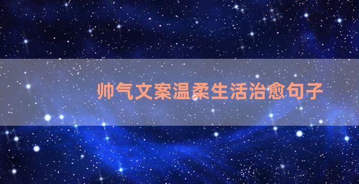 帅气文案温柔生活治愈句子