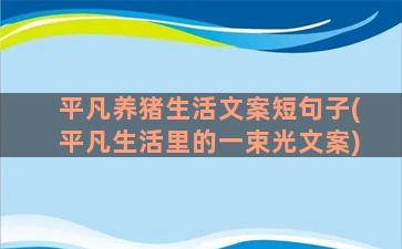 平凡养猪生活文案短句子(平凡生活里的一束光文案)